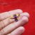 925 Sterling Silver Pave Diamond With Ruby And Blue Sapphire Handmade Ring Jewelry For Women’s