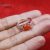 925 Sterling Silver Oval Shape Coral Gemstone Handmade Ring Jewelry For Women’s